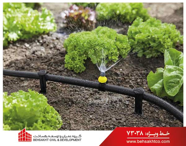 لوله آبیاری قطره ای چیست و چه کاربردی دارد؟ - گروه بهساخت